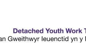 Y Pant Cluster Update - Detached Youth Team