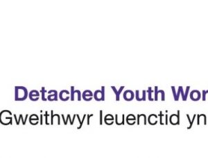 Y Pant Cluster Update - Detached Youth Team