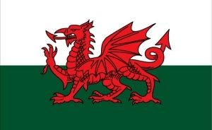Dear World: Welsh Language