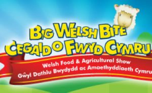 Big Welsh Bite 2011