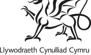 Consultation - Framework Development for Young People in Wales