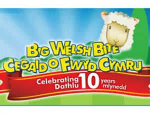 Come And Meet WICID At The Big Welsh Bite 2013