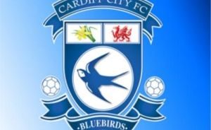Cardiff City Premier League Fixtures - Season 2013 - 2014