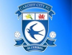 Cardiff City Premier League Fixtures - Season 2013 - 2014