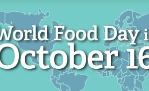 World Food Day 2013