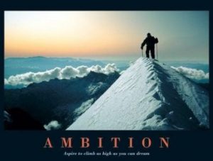 How Important Is Ambition?