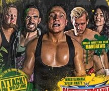 Rhys Review: ATTACK! Pro Wrestling - How Do You Learn To Fall Off A 20ft Ladder? (3/4/2016)